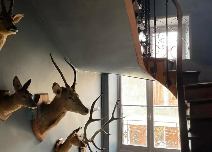 Ardennes Manoir Blossom *